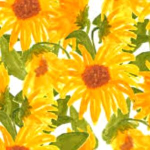 Meet your Posher, Ella